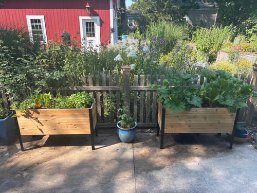 Customer photo review of 18" x 48" Raised Garden Bed - 30" TALL