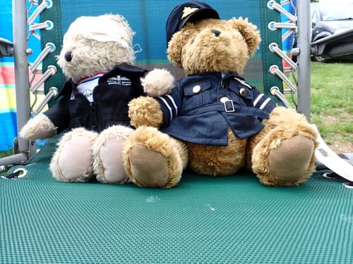 undefined review of BBMF Suit for 9in Bear image 1 out of 1