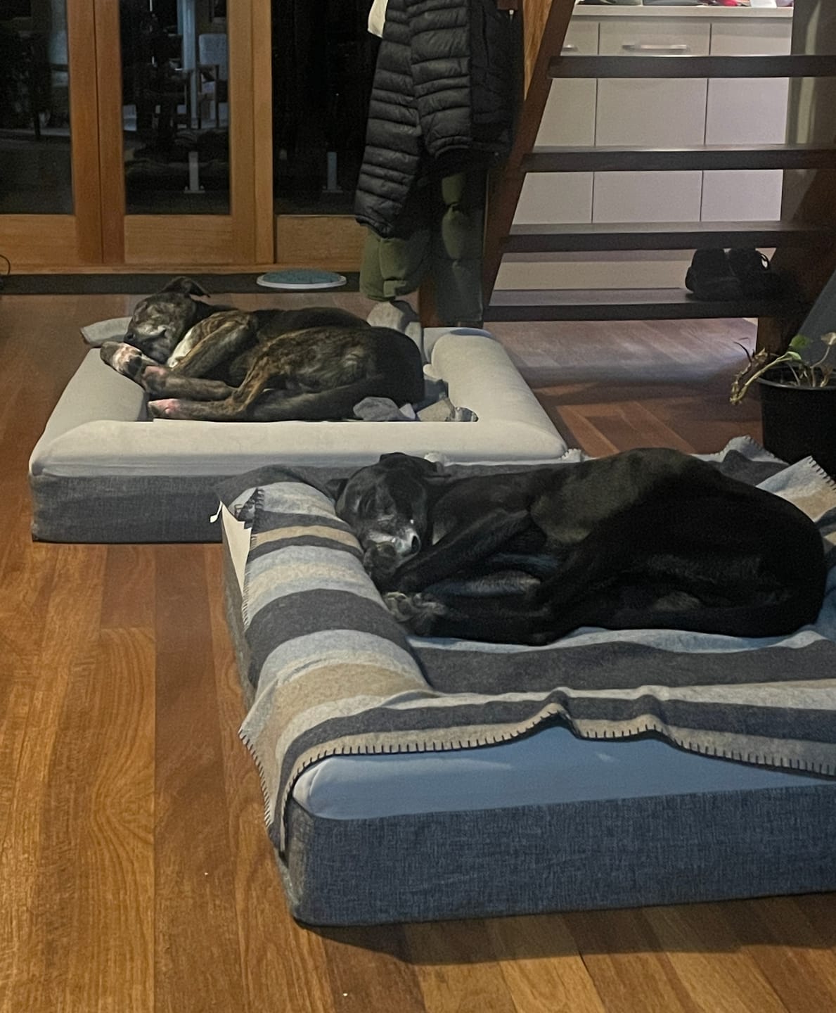 Customer photo review of Orthopaedic Memory Foam Bed