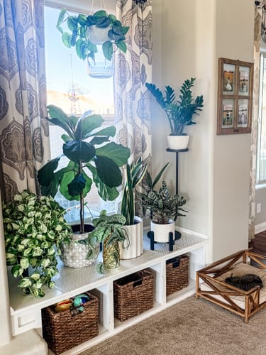 Nicole F. review of Plant Food image 1 out of 1