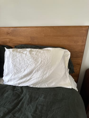 Customer photo review of Organic Silver Ion Silk Pillowcase