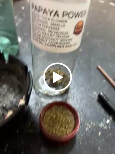 Customer video review of PAPAYA POWER THC Flower Hybrid Exotic THCa 14g 28g 114g 1/4 lb QP