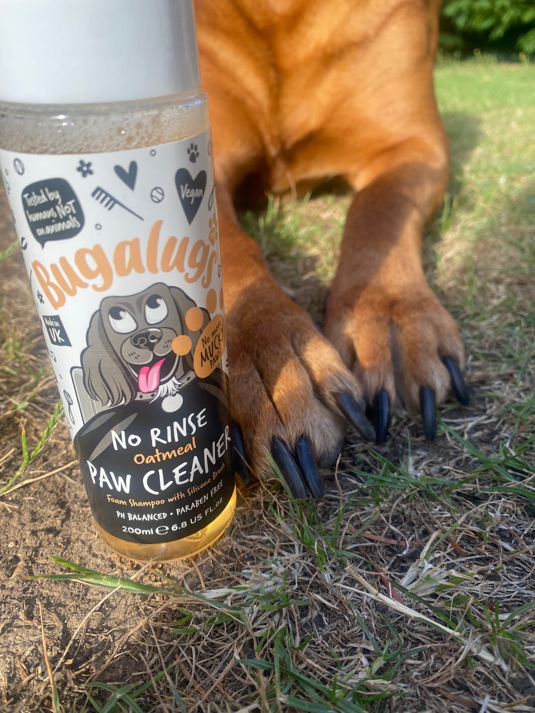 Customer photo review of Oatmeal No Rinse Paw Cleaner for Dogs & Cats