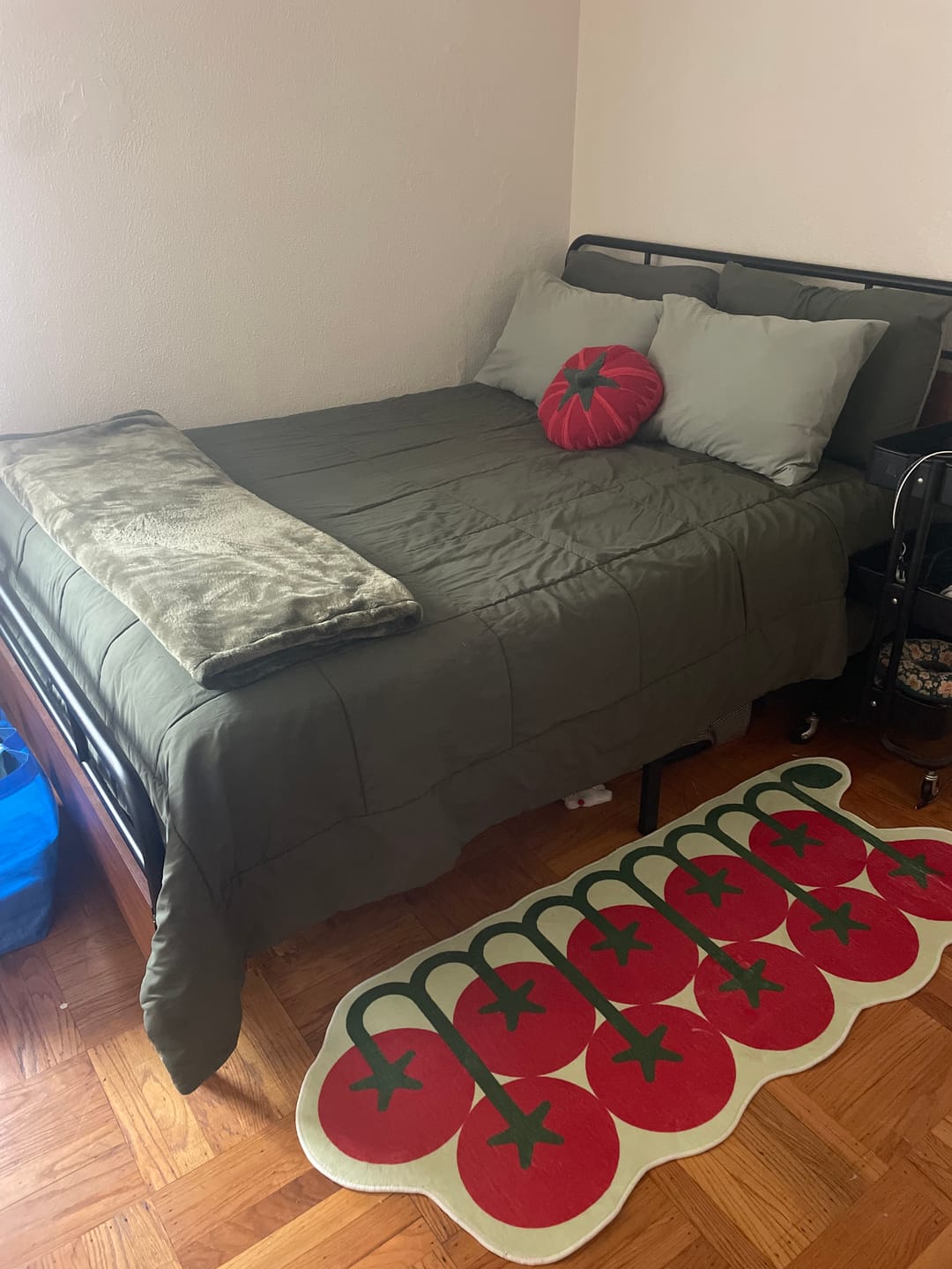 Customer photo review of Irregular Tomato Runner Rug by Johann Banta