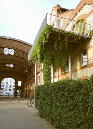 Customer photo review of NUVINT - Digitalkamera