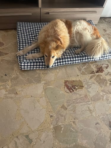 Customer photo review of Materassino Sfoderabile Quadretto Navy