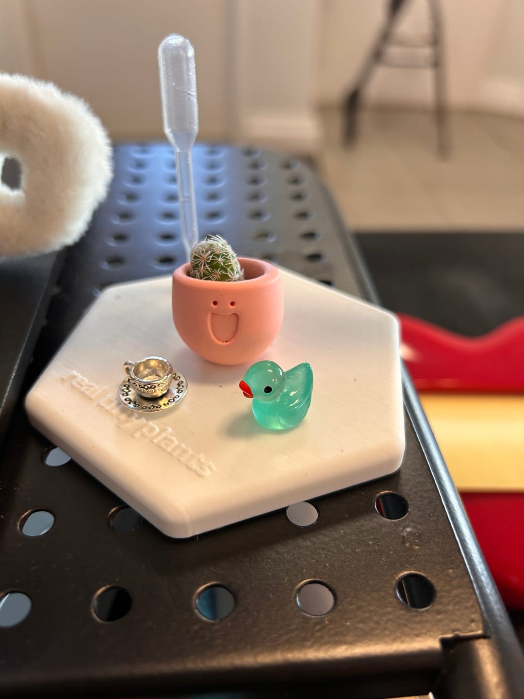 Customer photo review of LOL