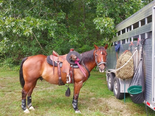 Customer photo review of Hay Chix® Half Bale Net