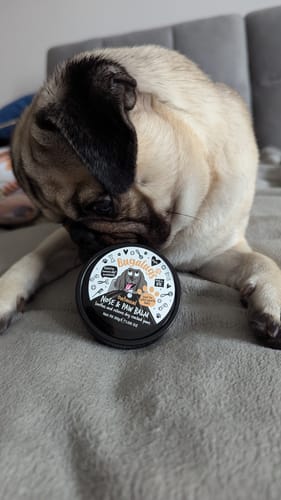 Customer photo review of Oatmeal Nose & Paw Balm Pot for Dogs