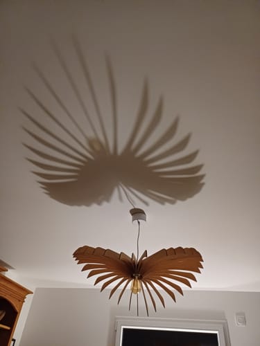 undefined review of Aigle teinté Chêne | Suspension image 1 out of 2