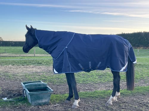 Customer photo review of LE Boxter Turnout 100g