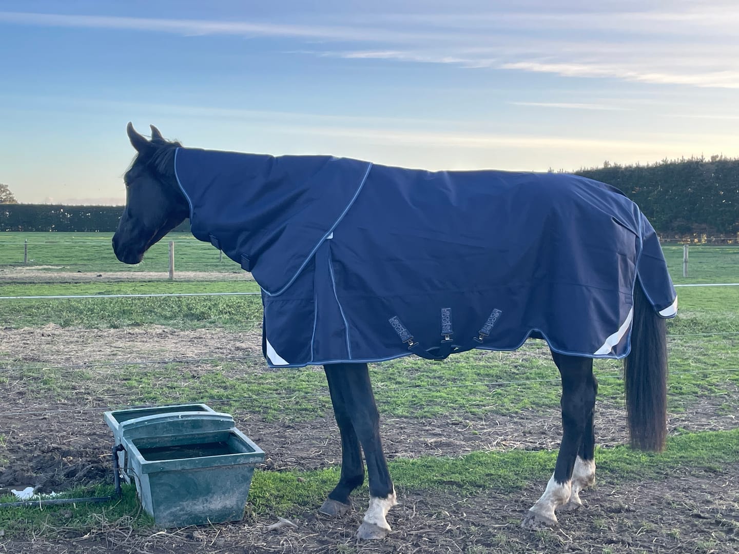 Customer photo review of LE Boxter Turnout 100g