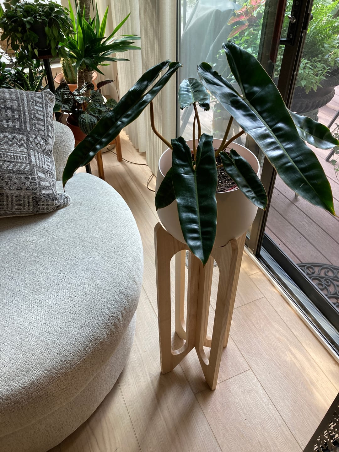 Customer photo review of Arches Plant Stand + Pot