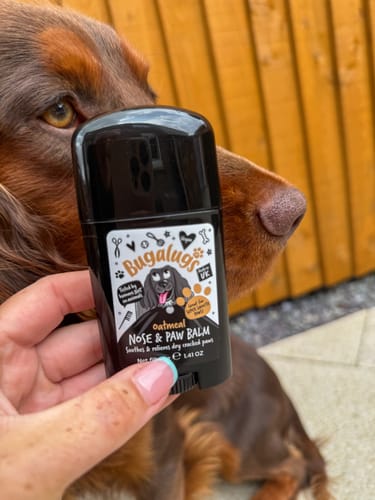 Customer photo review of Oatmeal Nose & Paw Balm Stick for Dogs