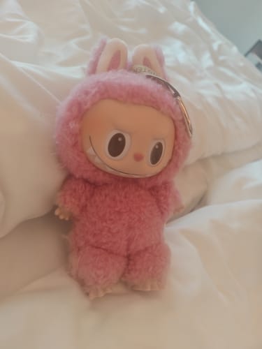 Customer photo review of Pop Mart Labubu The Monsters Tasty Macarons Vinyl Plush Pendant Single Blind Box