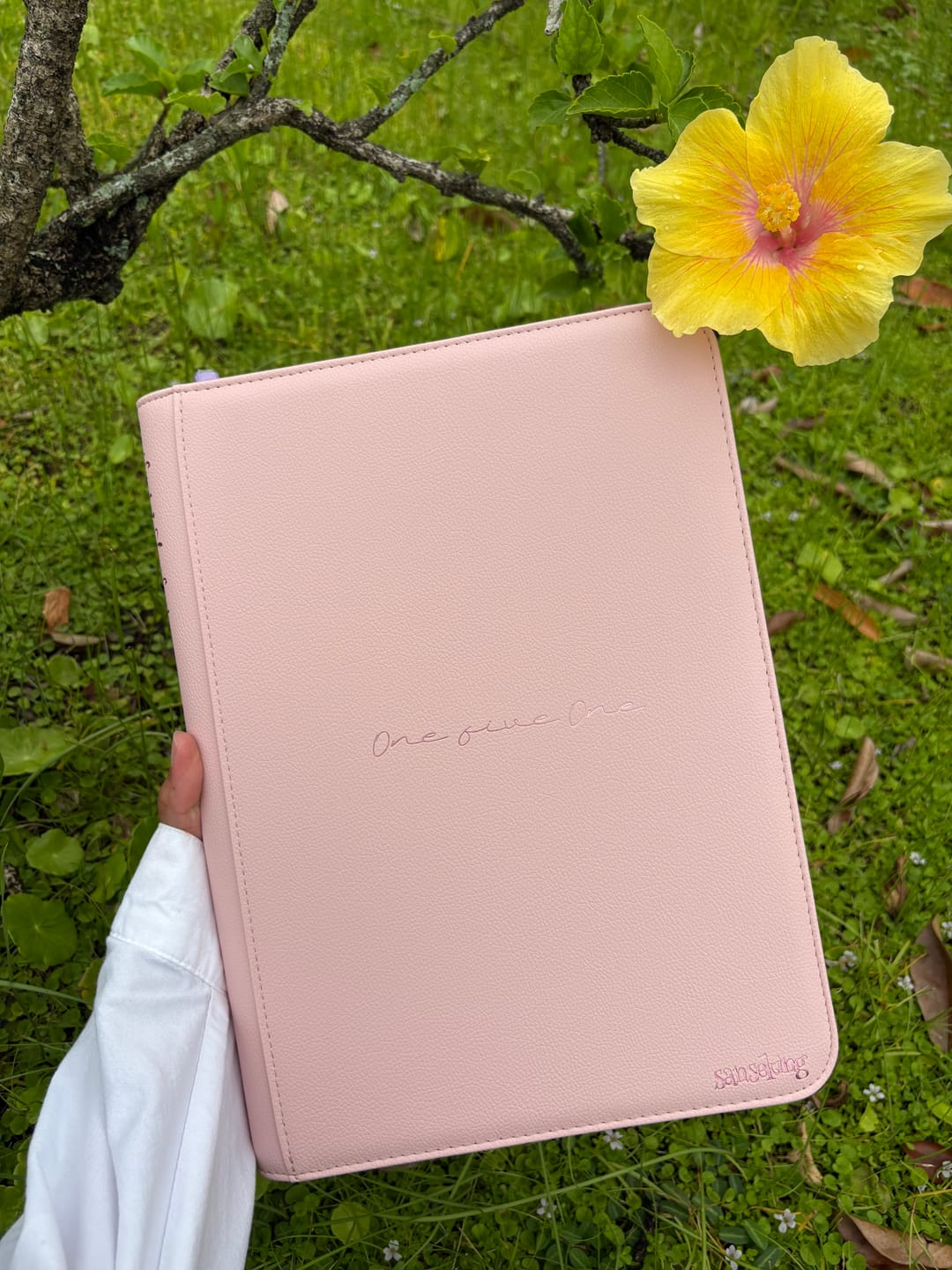 Customer photo review of Pokémon 151 Binders  Pink 6978093720737