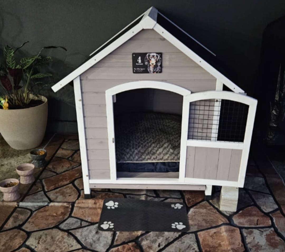 Customer photo review of Ceramic Raised Pet Bowl for Cats and Dogs