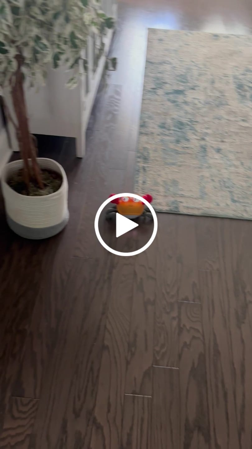 Customer video review of The Crawly Crab™