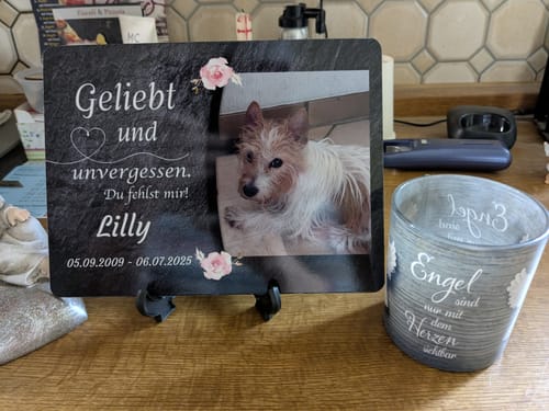 Customer photo review of Hunde Gedenktafel mit Foto & Spruch (UV- & Wetterfest)