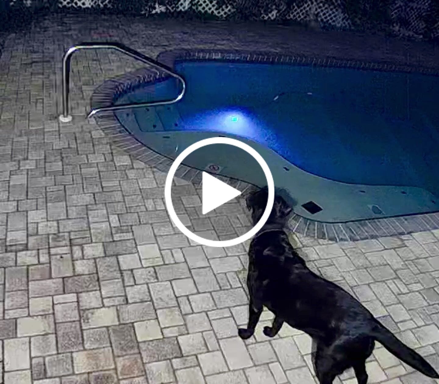 Customer video review of Maytronics Dolphin M600 Robotic Pool Cleaner