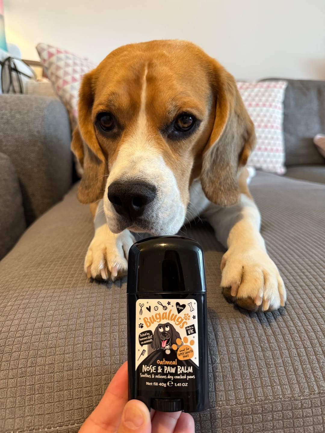 Customer photo review of Oatmeal Nose & Paw Balm Stick for Dogs
