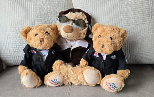 undefined review of BBMF 9in Bear in Suit image 1 out of 1