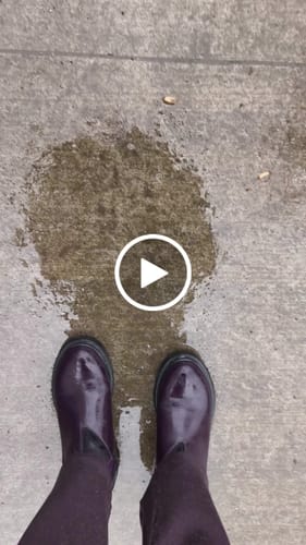 Customer video review of Botín Original 2.0 Mora Mujer