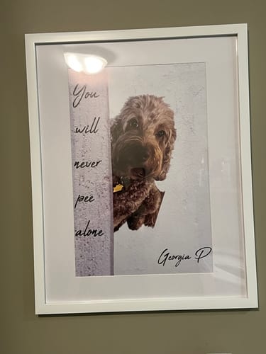 Customer photo review of Never pee alone - Personalized Poster