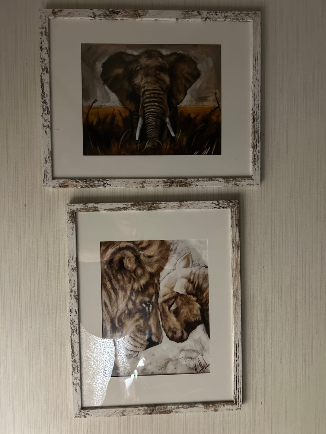 Customer photo review of Compassion of a King (White)