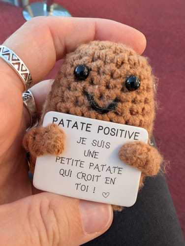 Customer photo review of PATATE POSITIVE