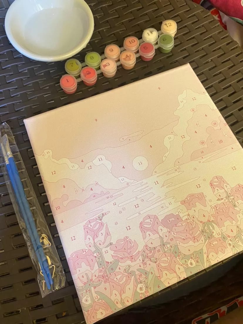 Customer photo review of [BUNDLE OF 3] Pause & Paint – Paint by Numbers Kit
