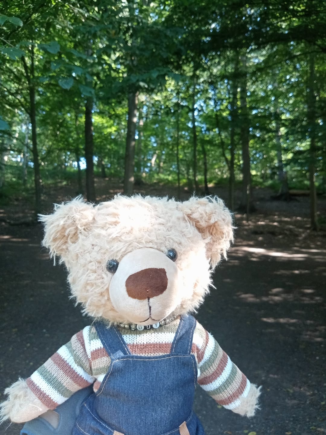 Customer photo review of Donate to Eddy the Teddy