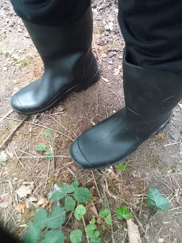 Customer photo review of Dee Calf Length Wellington