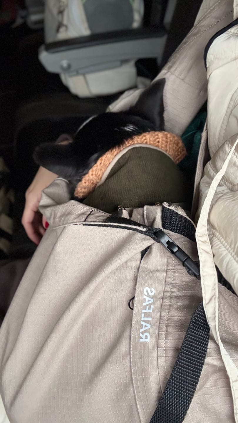 Customer photo review of Portador plomo 2 a 10 kg