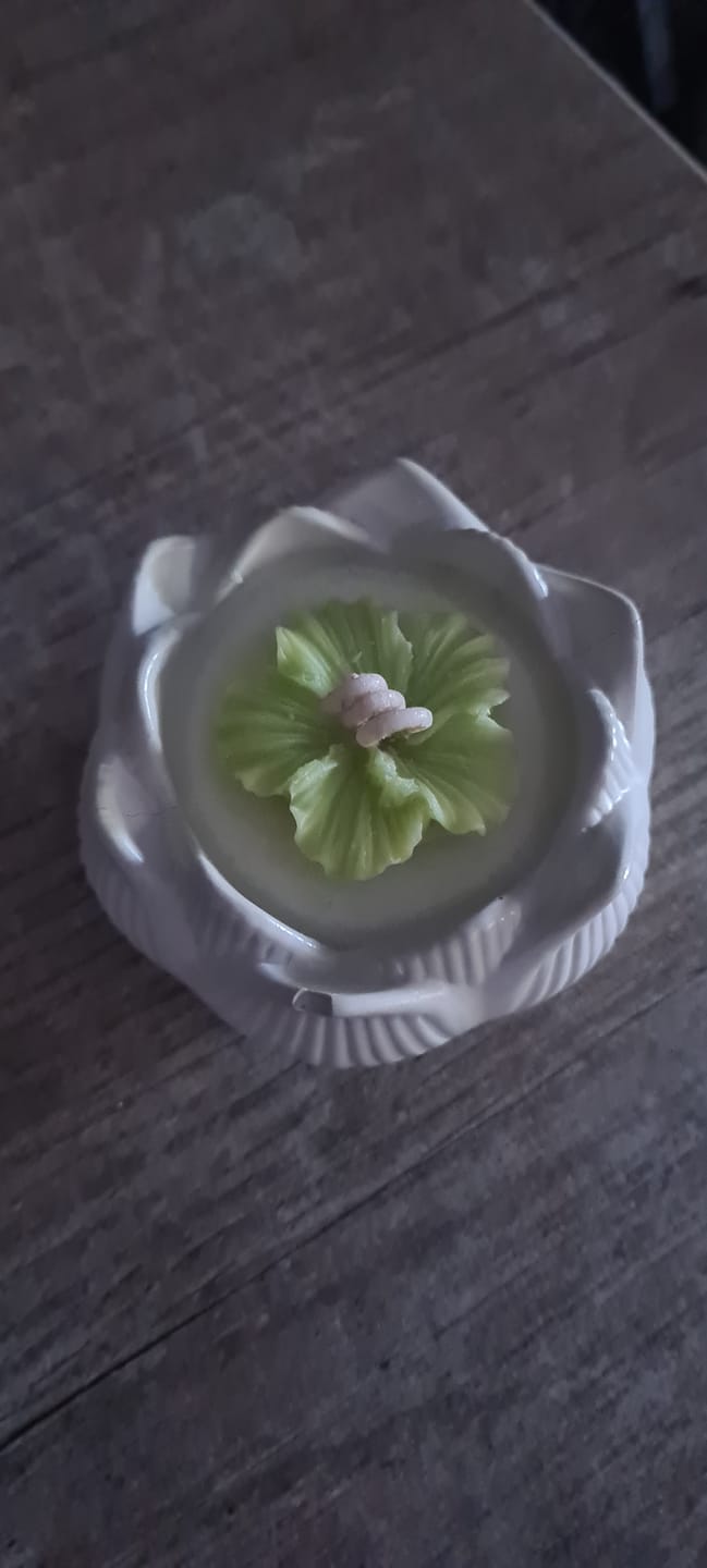 Customer photo review of Fragancia CHAKRA ESSENCE