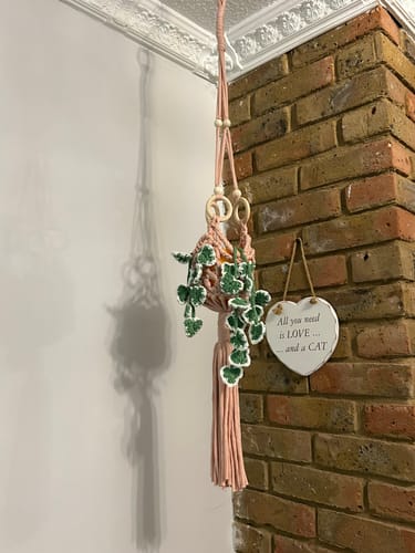 Customer photo review of Botanical Stitches Crochet Kit