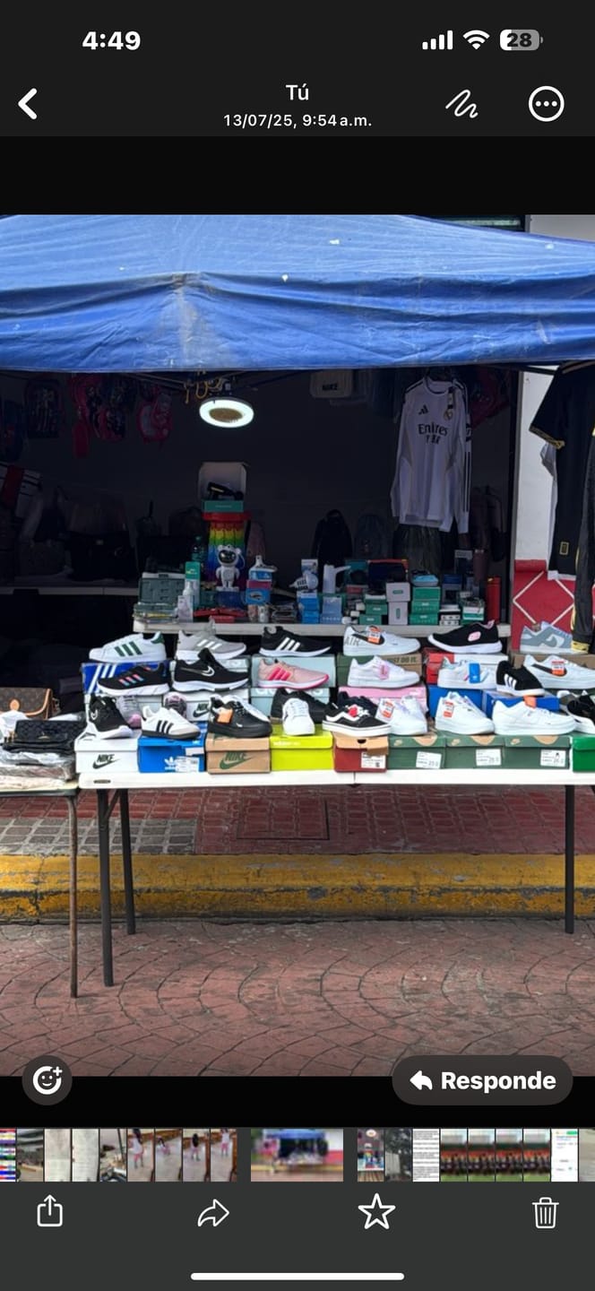 Customer photo review of Paq 6 Pares Tenis Samba Blanco Negro Gris 25/28.5