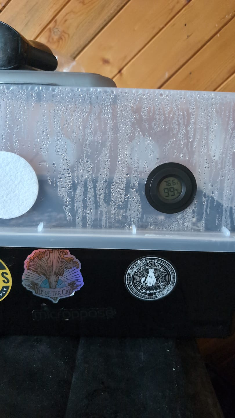 Customer photo review of Monotub Hygrometer/Thermometer