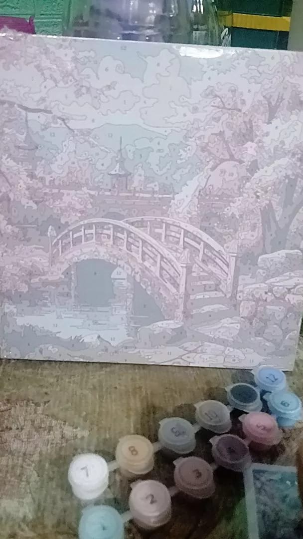Customer photo review of [BUNDLE OF 3] Pause & Paint – Paint by Numbers Kit