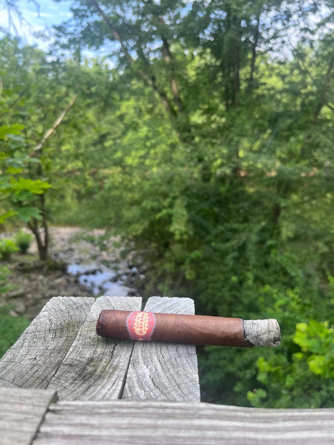 Customer photo review of Bits of Havana Robusto