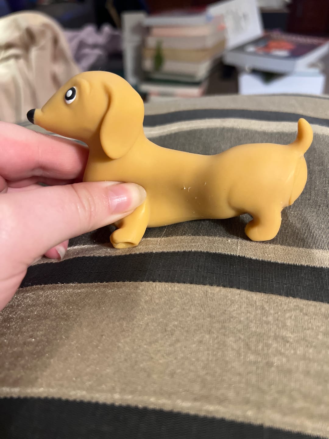Customer photo review of Stretchy Dachshund Sausage Dog