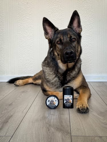 Customer photo review of Oatmeal Nose & Paw Balm Stick for Dogs