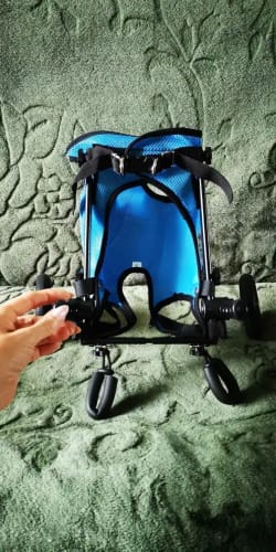 Customer photo review of PawPal🐶Hunderollstuhl