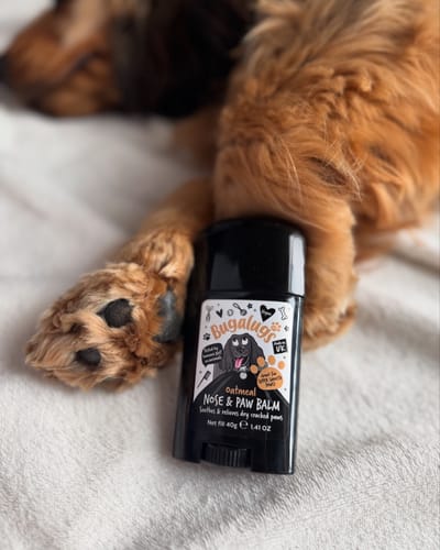 Customer photo review of Oatmeal Nose & Paw Balm Stick for Dogs