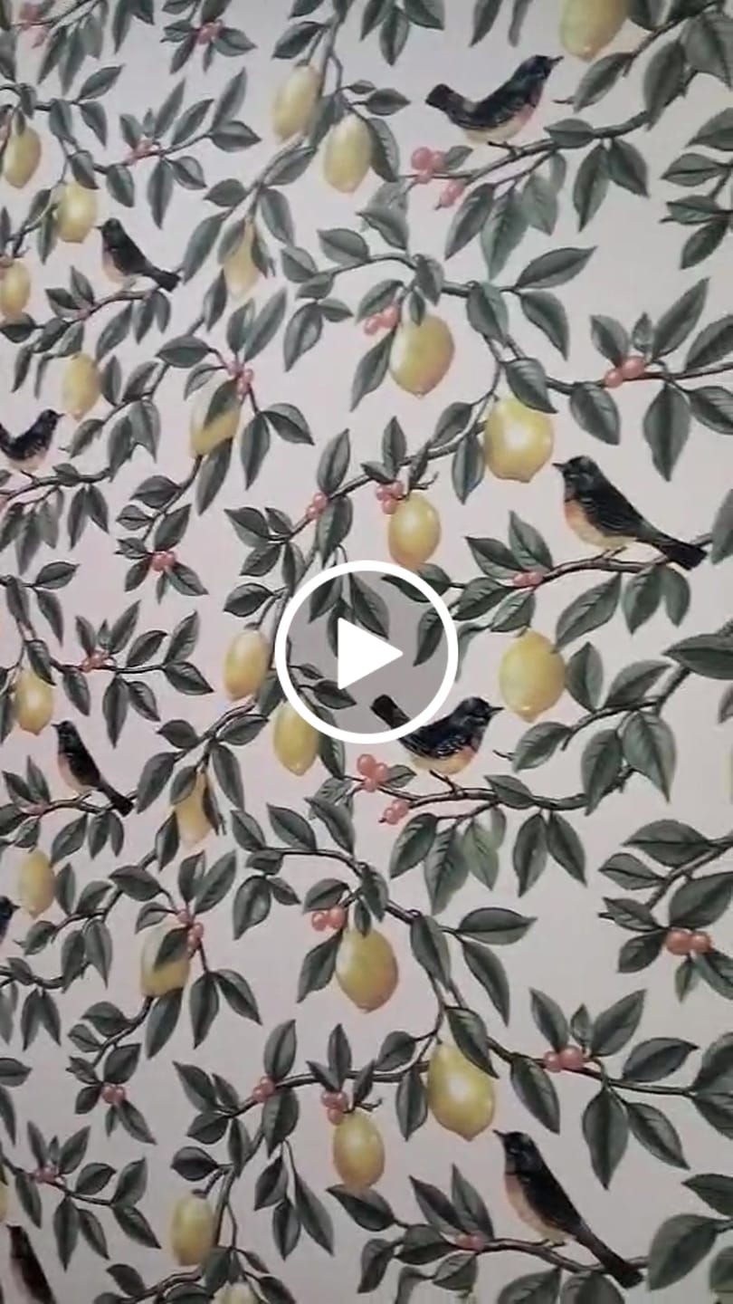 Customer video review of Ponderosa Bird and Lemon Wallpaper - Cream/Orange