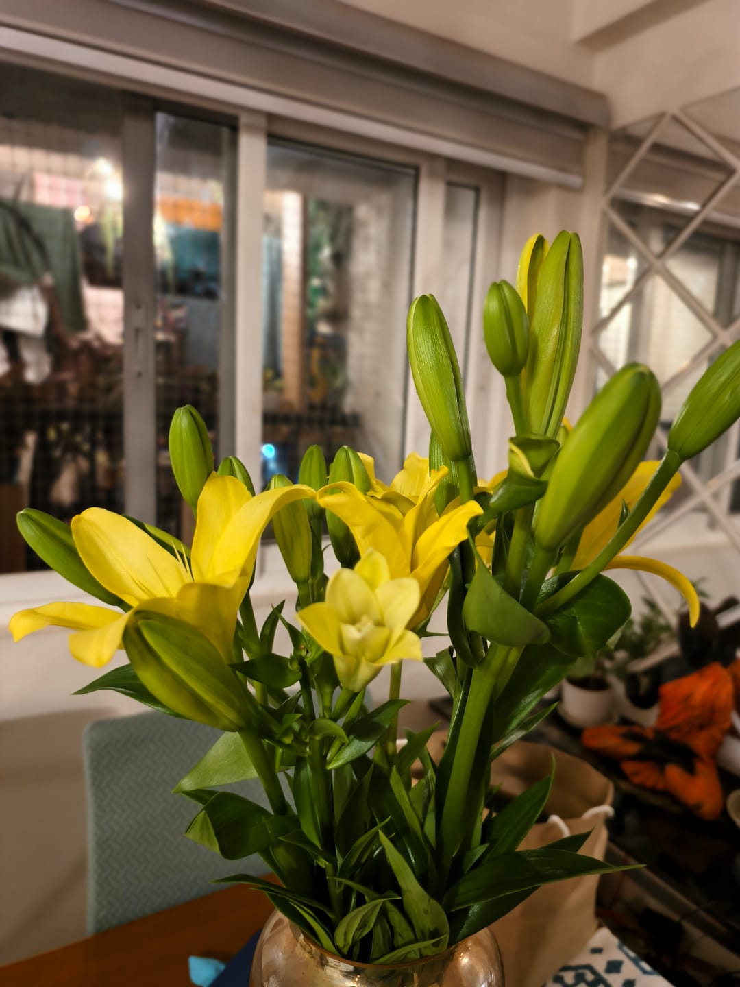 Customer photo review of Asiatic Lily