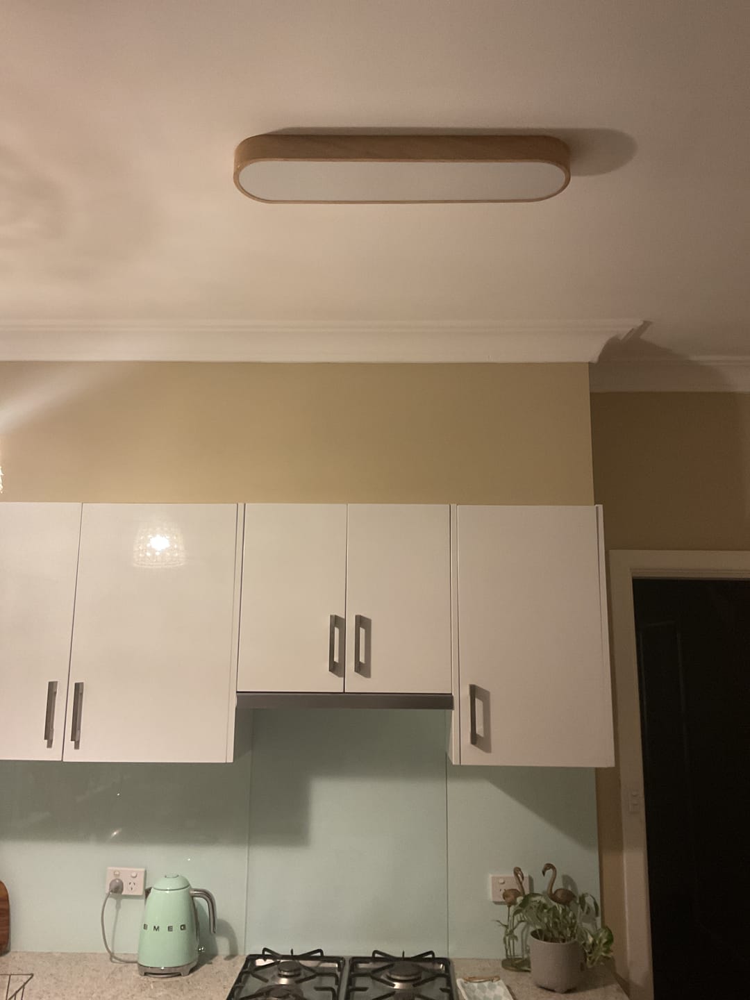 Customer photo review of Nordic 1-Light Oval Shape Led Ceiling Flush Mount With Wood Accent