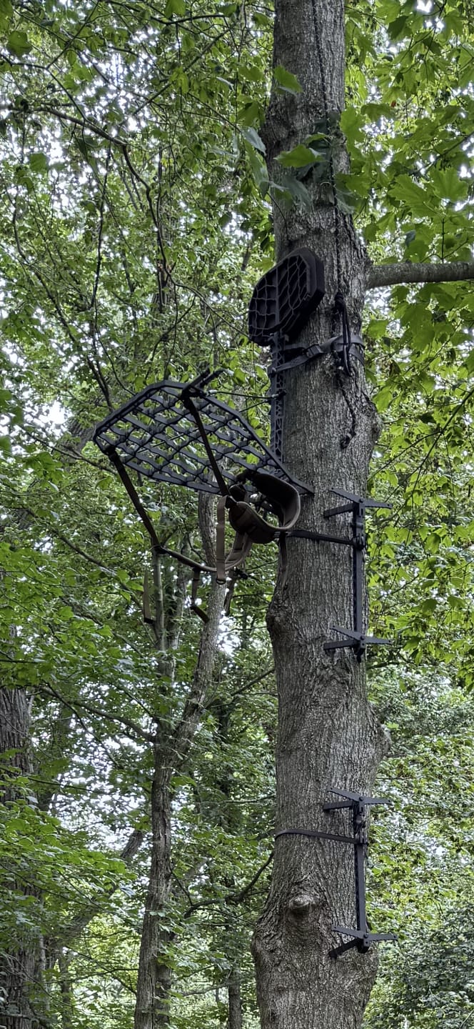 Customer photo review of THE .75 HANG-ON