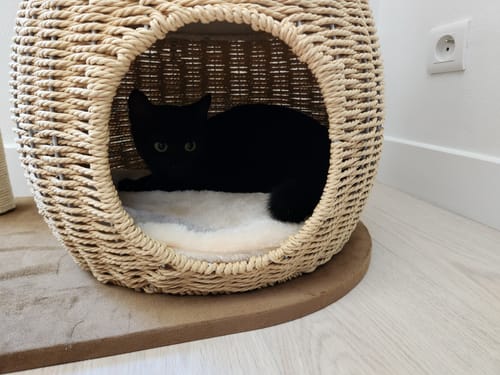 Customer photo review of Arbre à Chat -  Nuage Miaou