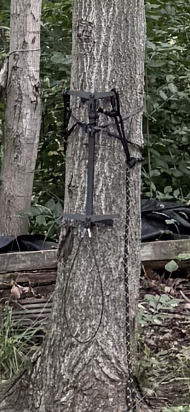 Customer photo review of Cable Aider™️